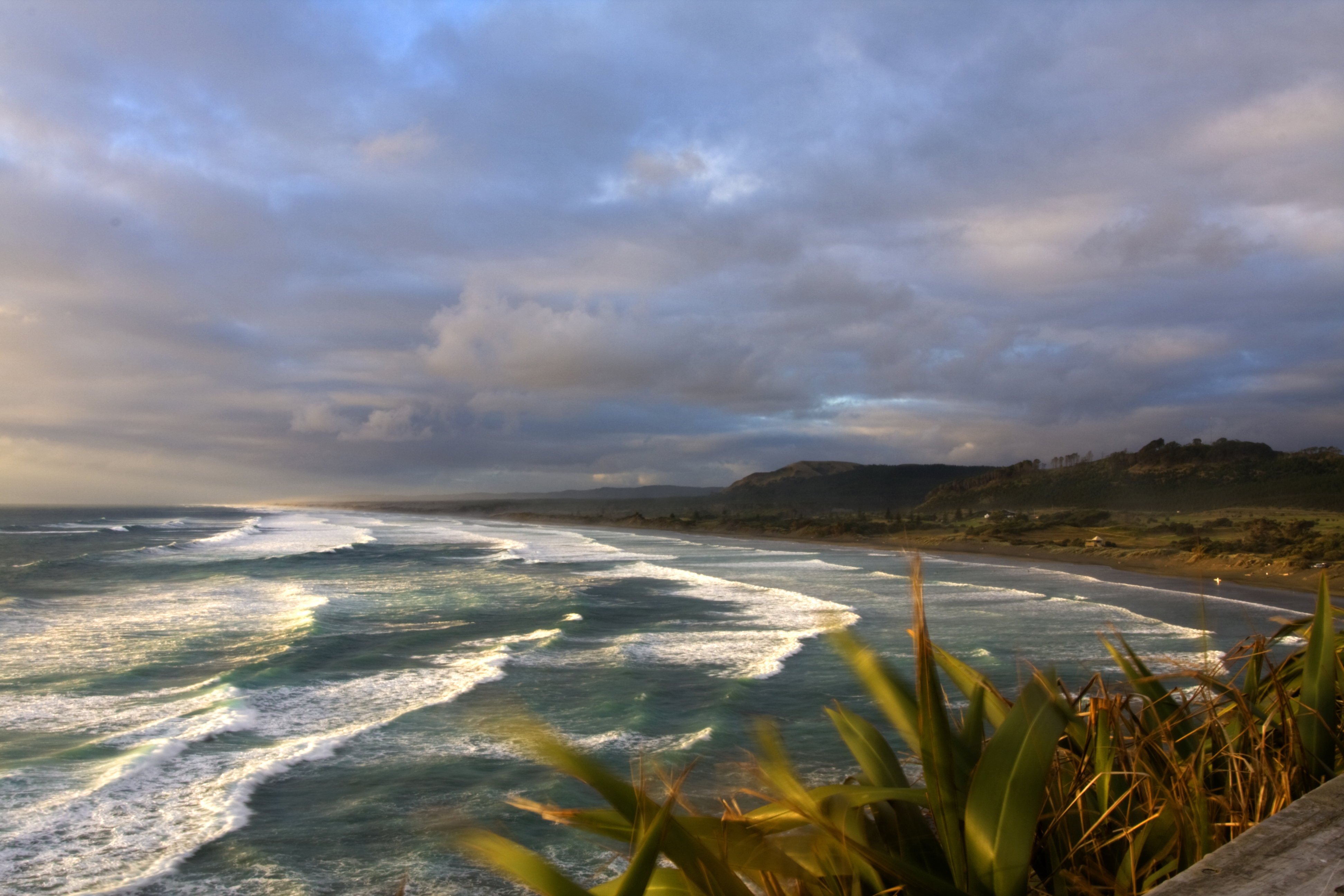 Muriwai Beach